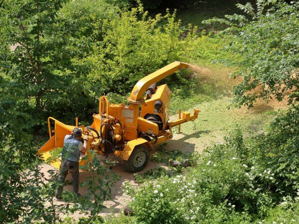 heavy duty machinery at work in the logging industry